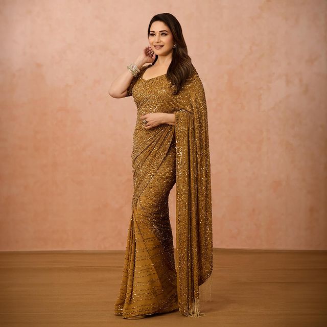 Bollywood Madhuri Dixit Trending Sequence Embroidery Work Saree